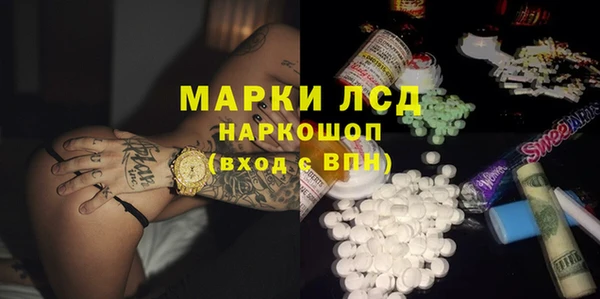 шишки Тында