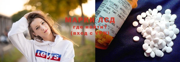 шишки Тында
