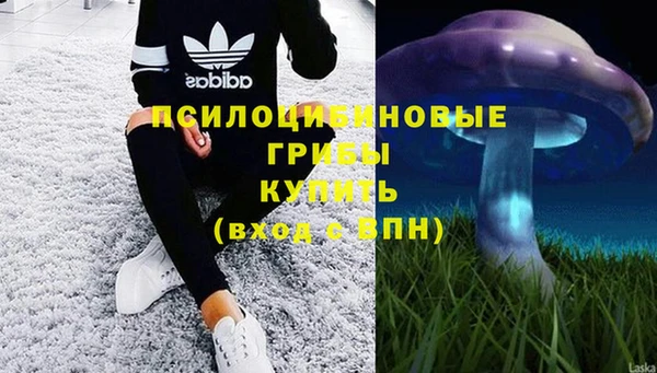прущий лед Туринск