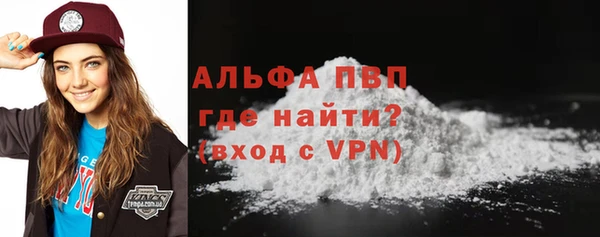 шишки Тында