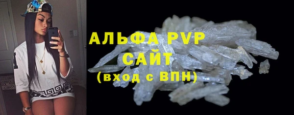 шишки Тында