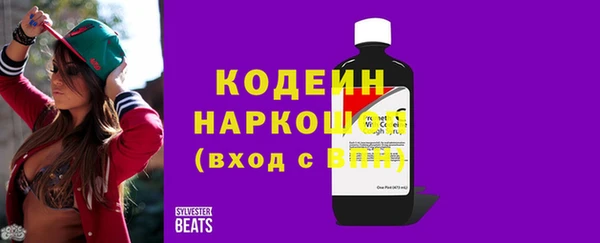 шишки Тында