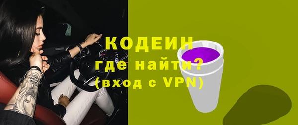 шишки Тында