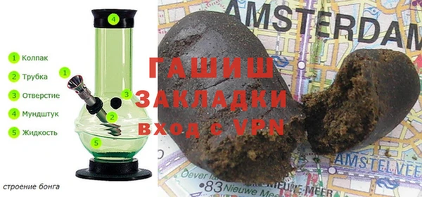 шишки Тында