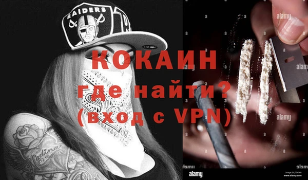 шишки Тында