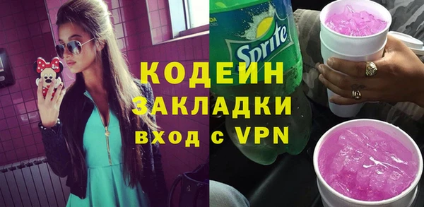 шишки Тында