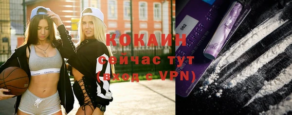 шишки Тында