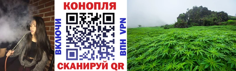 Конопля SATIVA & INDICA  Ульяновск 